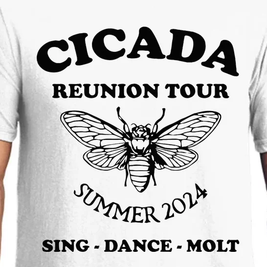 The Cicada Reunion U.S 2024 Cicada Concert Fest Lover Pajama Set