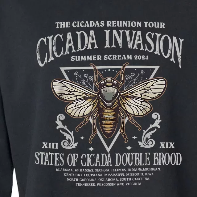 The Cicadas Reunion Cicadas Invasion Summer Scream 2024 Cropped Pullover Crew