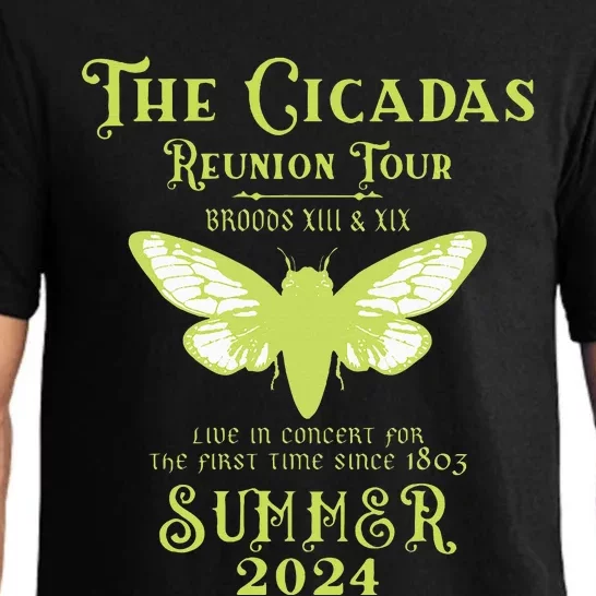 The Cicada Reunion U.S 2024 Cicada Concert Pajama Set