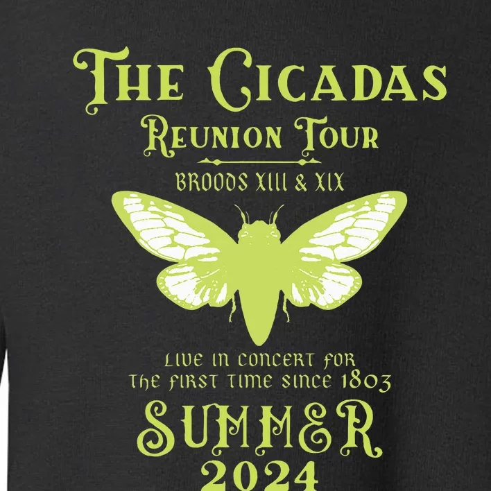 The Cicada Reunion U.S 2024 Cicada Concert Toddler Sweatshirt