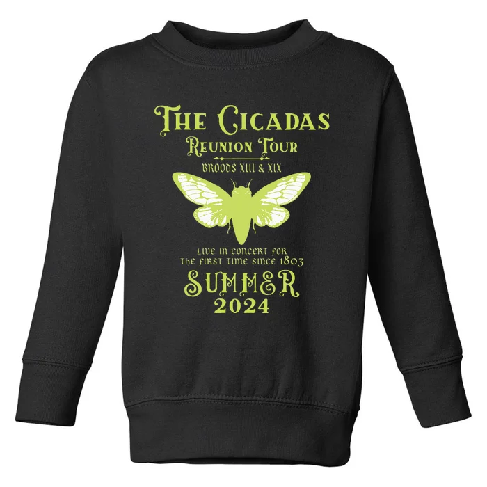 The Cicada Reunion U.S 2024 Cicada Concert Toddler Sweatshirt