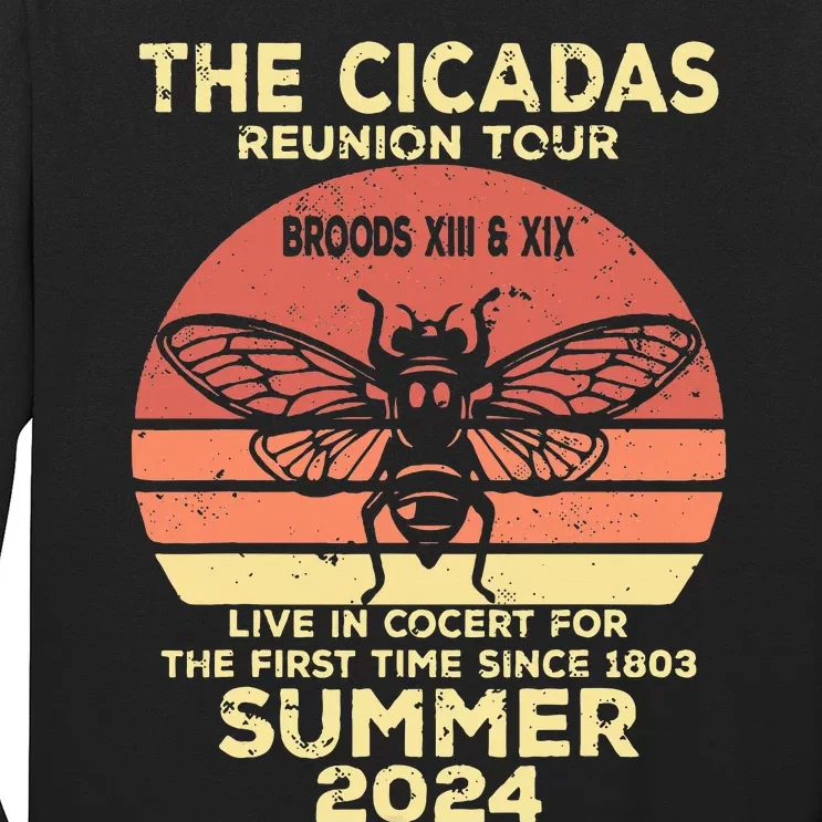 The Cicada Reunion 2024 Cicada Concert Fest Lover Long Sleeve Shirt