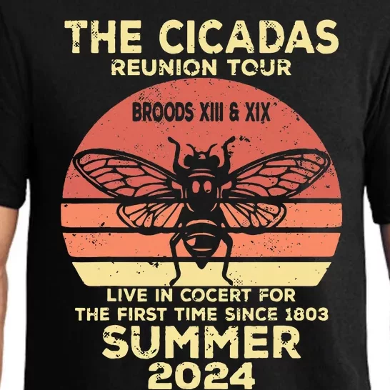 The Cicada Reunion 2024 Cicada Concert Fest Lover Pajama Set