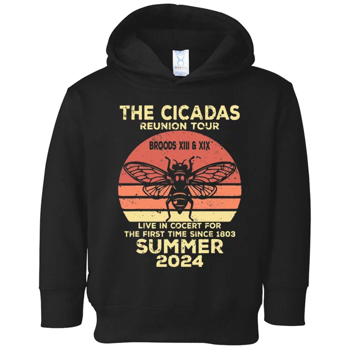 The Cicada Reunion 2024 Cicada Concert Fest Lover Toddler Hoodie