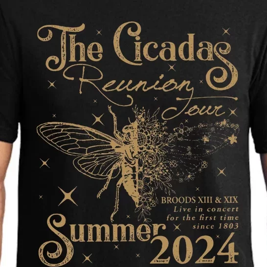 The Cicada Reunion U.S 2024 Cicadas Concert Fest Pajama Set