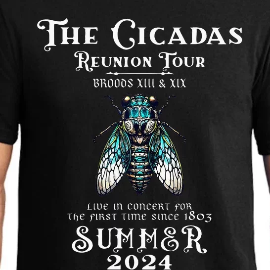 The Cicada Reunion U.S 2024 Cicada Concert Pajama Set