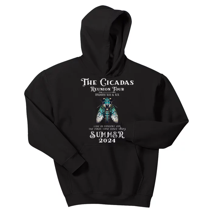 The Cicada Reunion U.S 2024 Cicada Concert Kids Hoodie