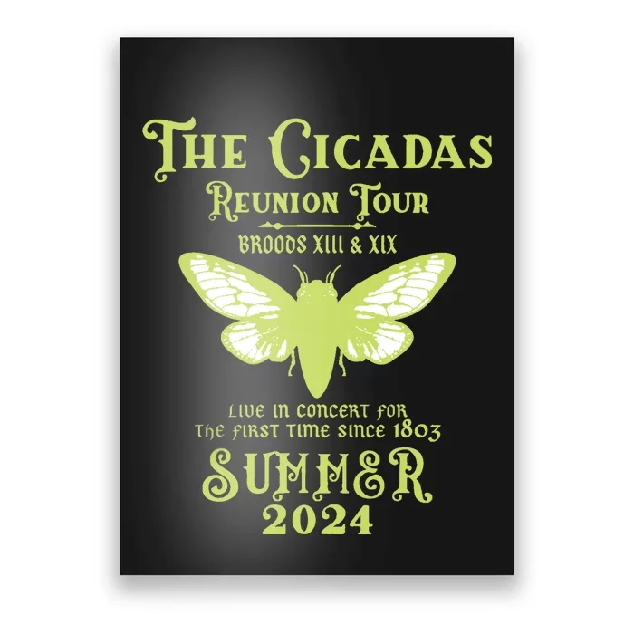 The Cicada Reunion U.S 2024 Cicada Concert Fest Lover Poster