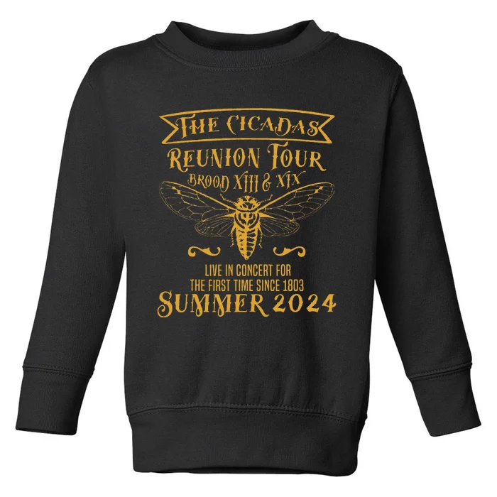 The Cicada Reunion 2024 Brood Xiii Xix Toddler Sweatshirt