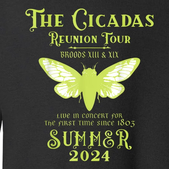 The Cicada Reunion U.S 2024 Cicada Concert Toddler Sweatshirt