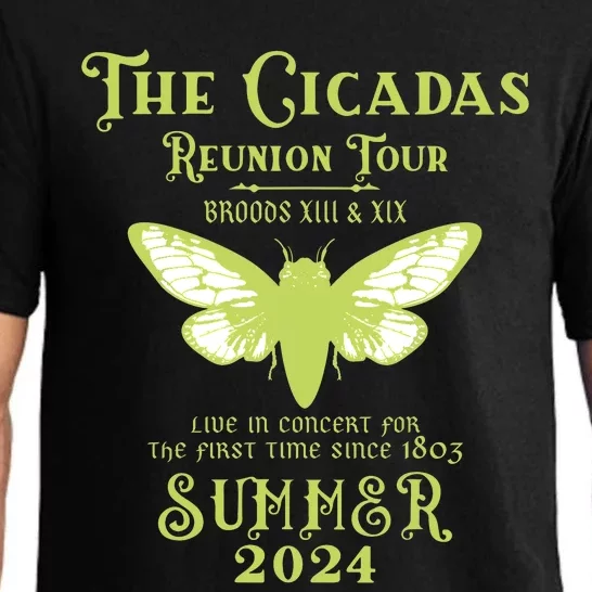 The Cicada Reunion U.S 2024 Cicada Concert Fest Lover Pajama Set