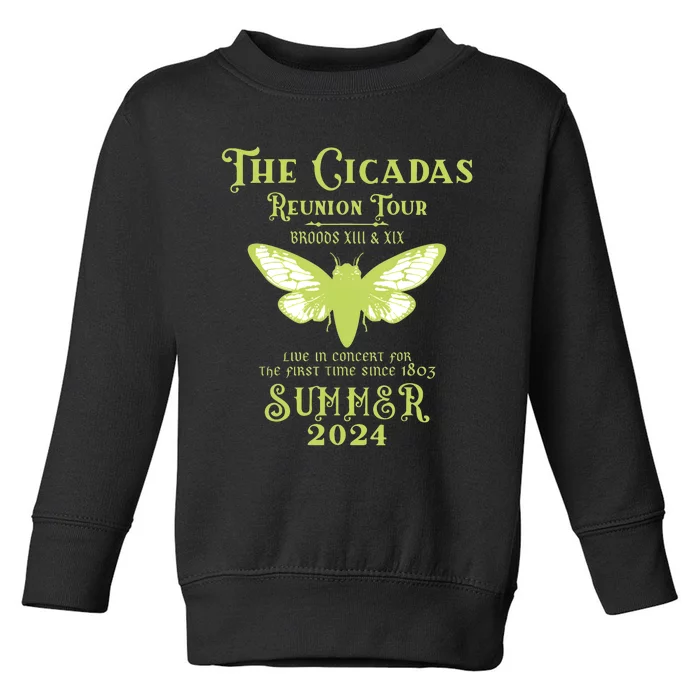 The Cicada Reunion U.S 2024 Cicada Concert Fest Lover Toddler Sweatshirt