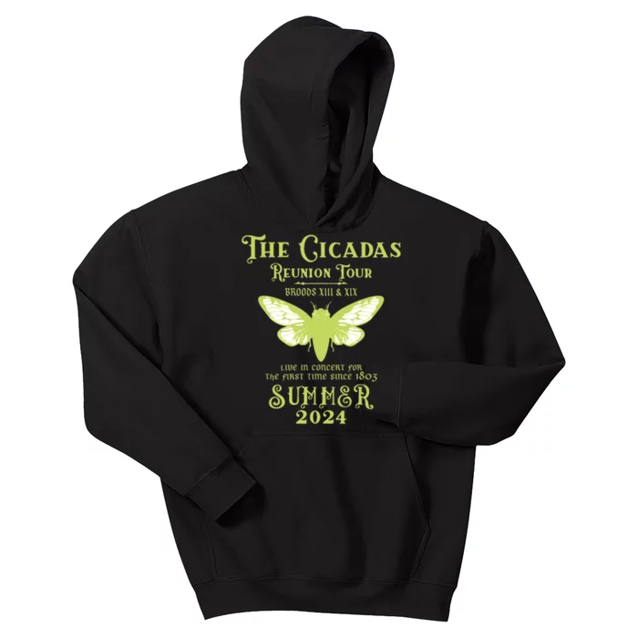 The Cicada Reunion U.S 2024 Cicada Concert Fest Lover Kids Hoodie