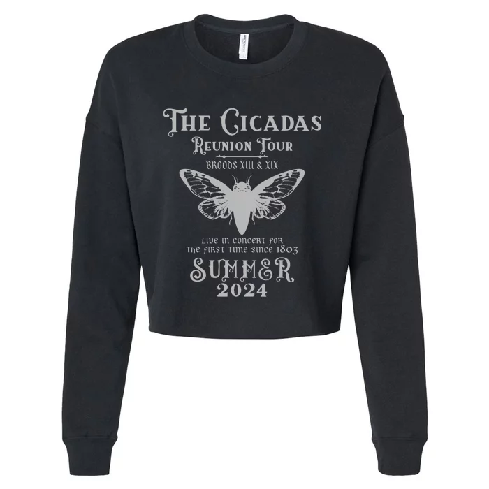 The Cicada Reunion U.S 2024 Cicada Concert Fest Lover Cropped Pullover Crew