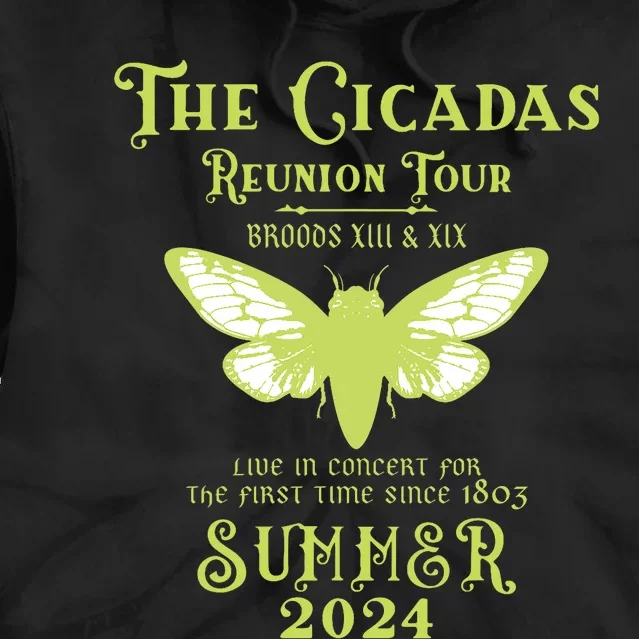 The Cicada Reunion U.S 2024 Cicada Concert Fest Tie Dye Hoodie