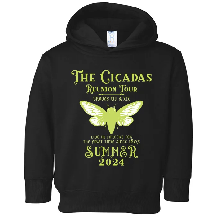 The Cicada Reunion U.S 2024 Cicada Concert Fest Toddler Hoodie