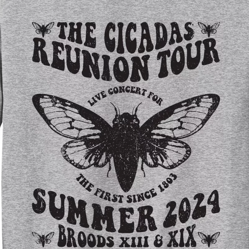 The Cicada Reunion U.S 2024 Concert Fest Lover Groovy Sweatshirt