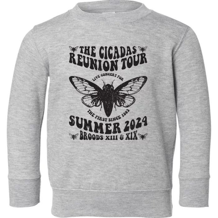 The Cicada Reunion U.S 2024 Concert Fest Lover Groovy Toddler Sweatshirt