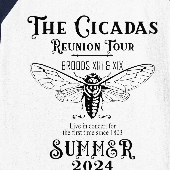 The Cicadas Reunion Summer 2024 Baseball Sleeve Shirt