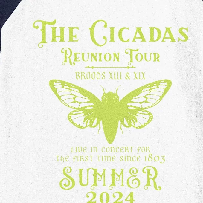 The Cicada Reunion U.S 2024 Cicada Concert Fest Lover Baseball Sleeve Shirt