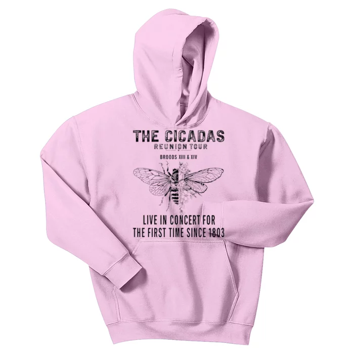 The Cicadas Reunion Summer 2024 Cicada Kids Hoodie