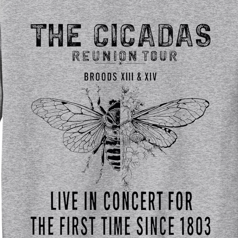 The Cicadas Reunion Summer 2024 Cicada Tall Sweatshirt