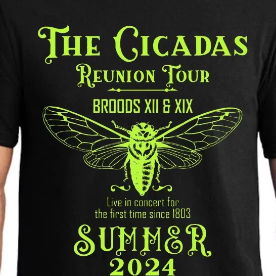 The Cicada Reunion Broods Xix & Xiii Summer 2024 Pajama Set