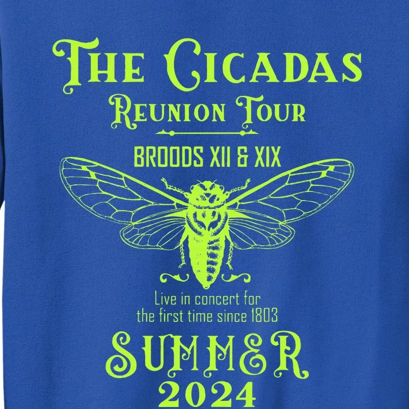 The Cicada Reunion Broods Xix & Xiii Summer 2024 Sweatshirt