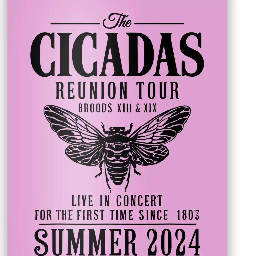 The Cicadas Reunion Tou.R Broods Xiii And Xix Summer 2024 Poster