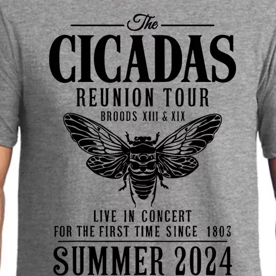 The Cicadas Reunion Tou.R Broods Xiii And Xix Summer 2024 Pajama Set