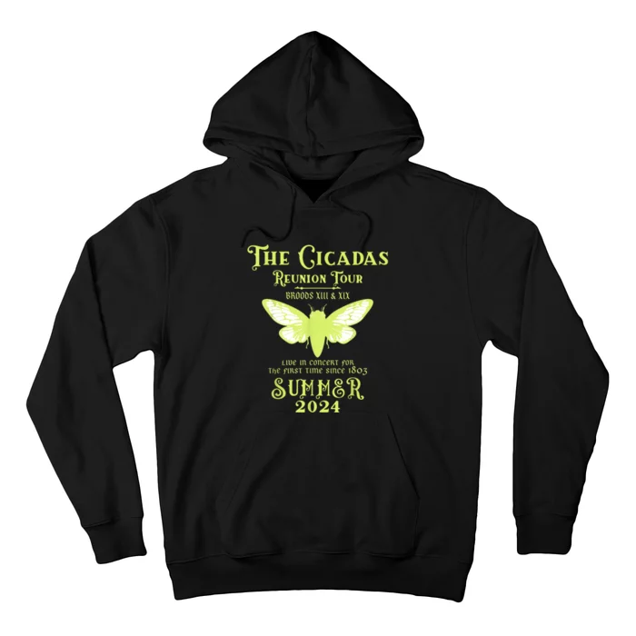 The Cicada Reunion U.S 2024 Cicada Concert Fest Lover Hoodie