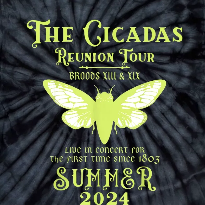 The Cicada Reunion U.S 2024 Cicada Concert Fest Lover Tie-Dye T-Shirt