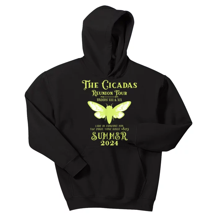 The Cicada Reunion U.S 2024 Cicada Concert Fest Lover Kids Hoodie