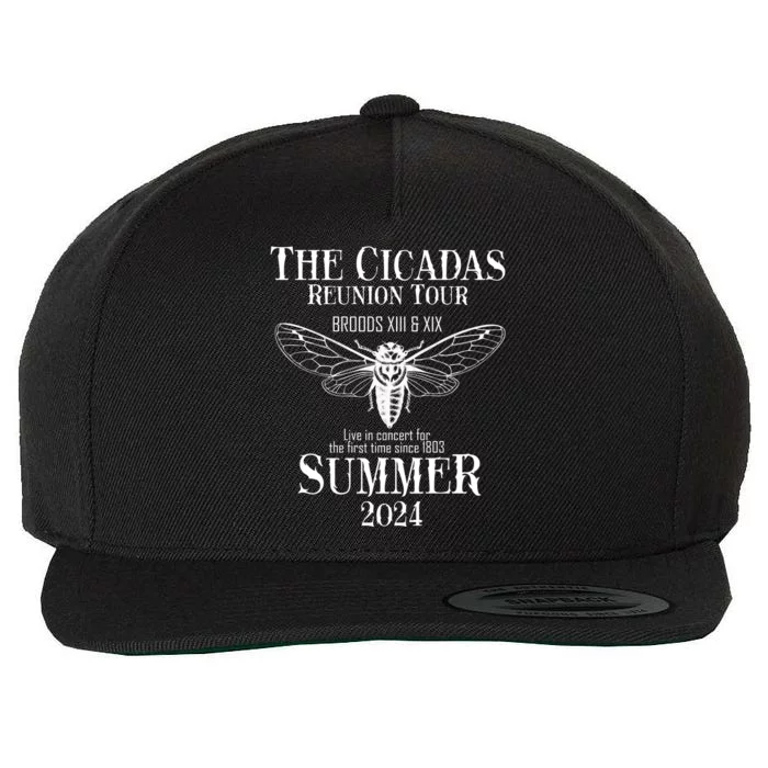 The Cicadas Reunion Broods Xiii And Xix Summer 2024 Wool Snapback Cap