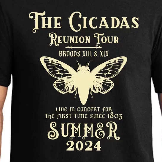 The Cicada Reunion Tours 2024 Cicada Concert Fest Lover Gift Pajama Set