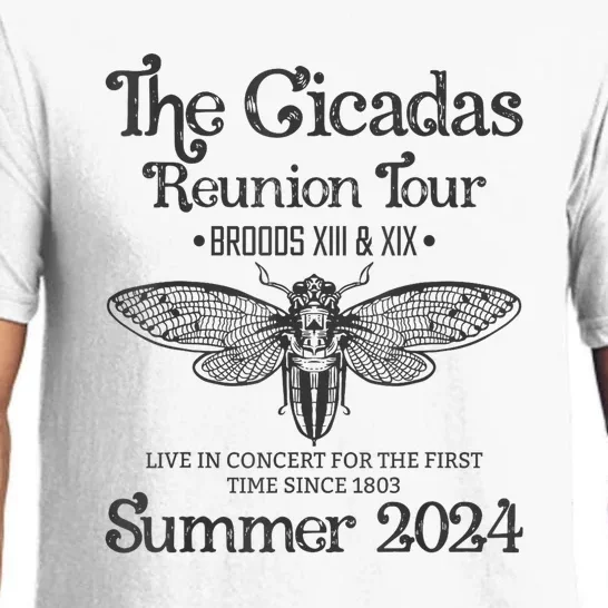 The Cicada Reunion U.S Tours 2024 Cicada Concert Fest Lover Gift Pajama Set