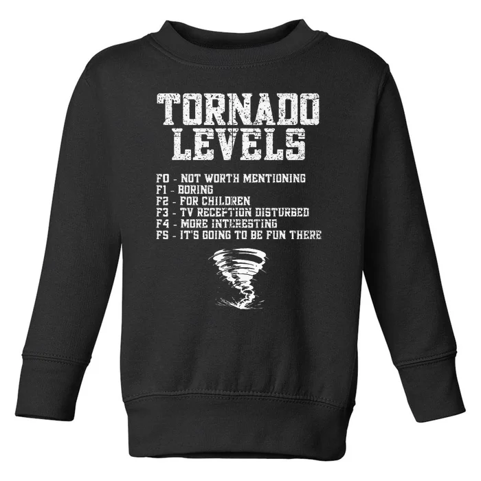 Tornado Chaser Storm Chaser Toddler Sweatshirt