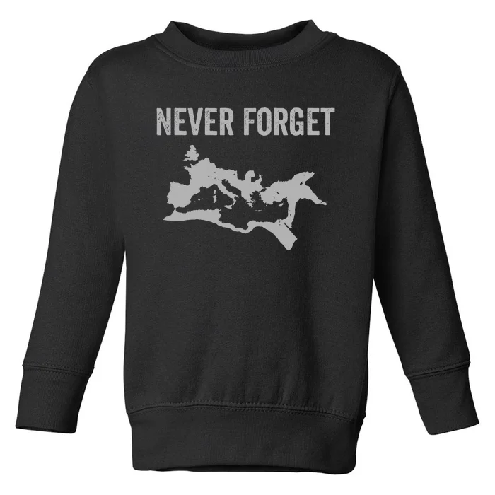 The Cat Whisperer Cat Owner Gift Toddler Sweatshirt