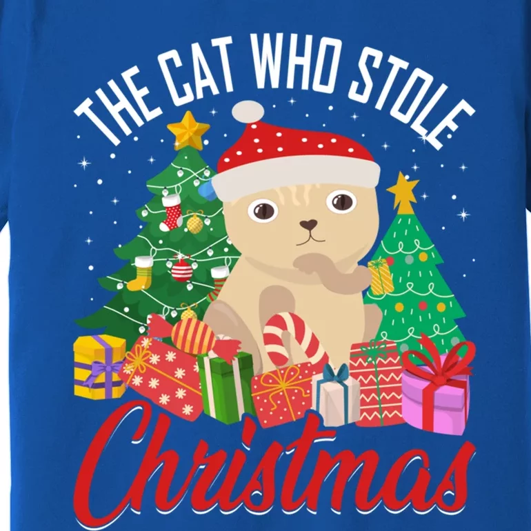 The Cat Who Stole Christmas Funny Cat Lover Pun Gift Premium T-Shirt