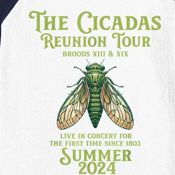 The Cicada Year Reunion U.S Entomology Cicada 2024 Baseball Sleeve Shirt