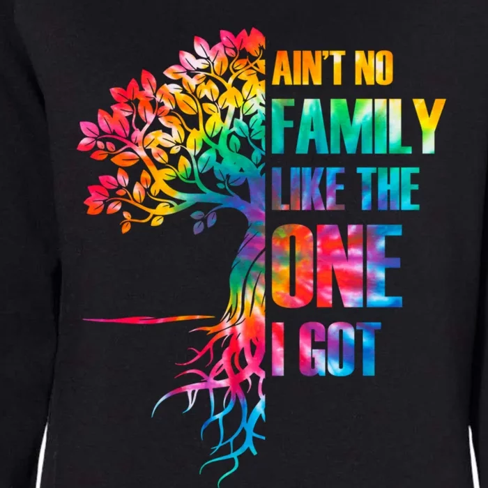 Tie Dye Aint No Family Like The One I Got Family Reunion Gift Womens California Wash Sweatshirt