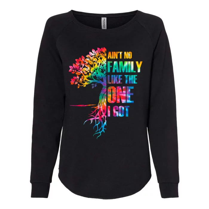 Tie Dye Aint No Family Like The One I Got Family Reunion Gift Womens California Wash Sweatshirt