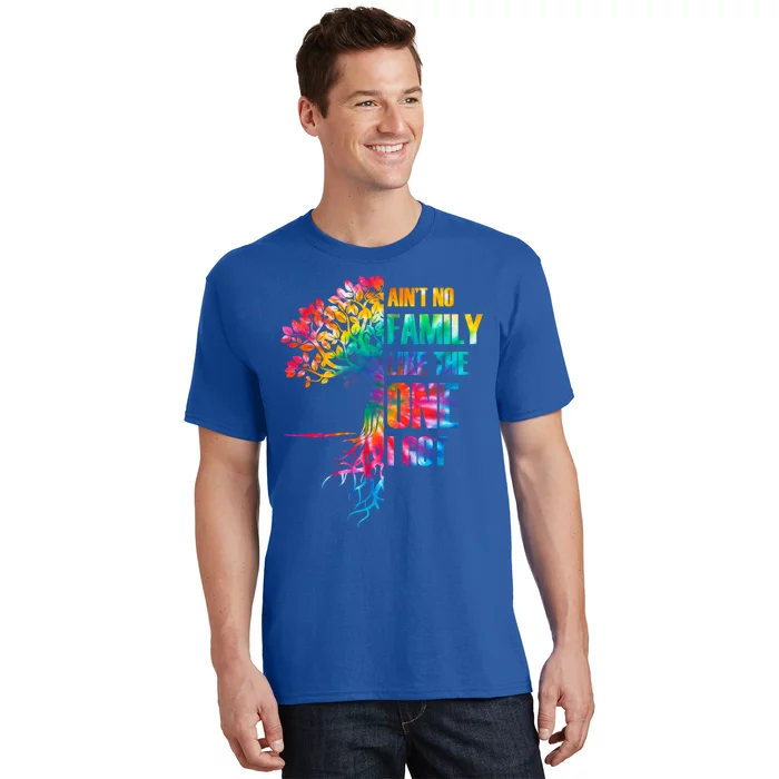 Tie Dye Aint No Family Like The One I Got Family Reunion Gift T-Shirt