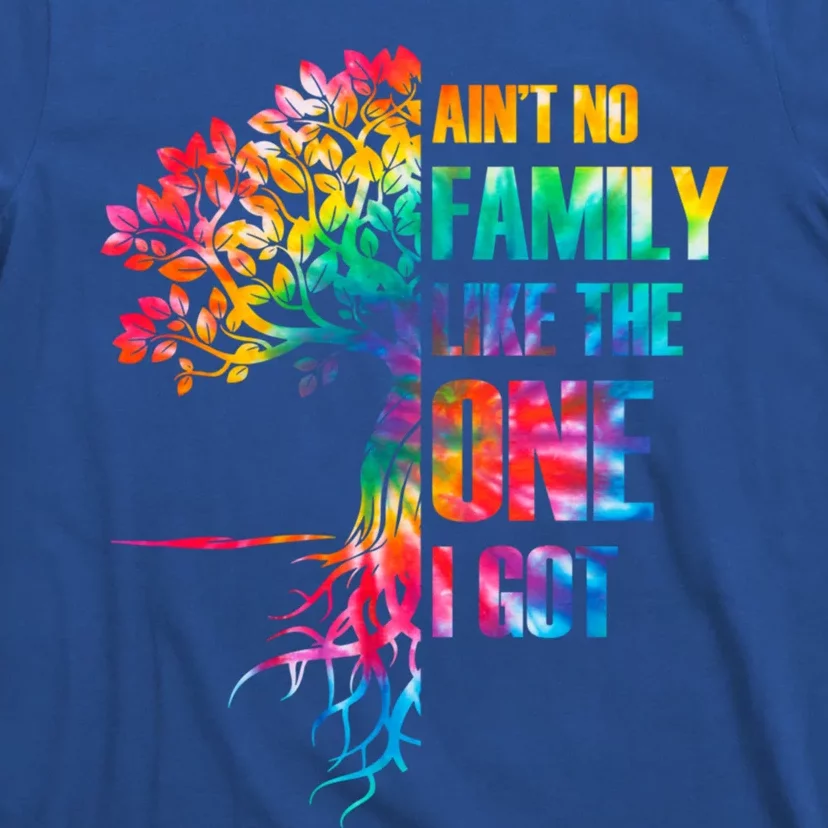 Tie Dye Aint No Family Like The One I Got Family Reunion Gift T-Shirt