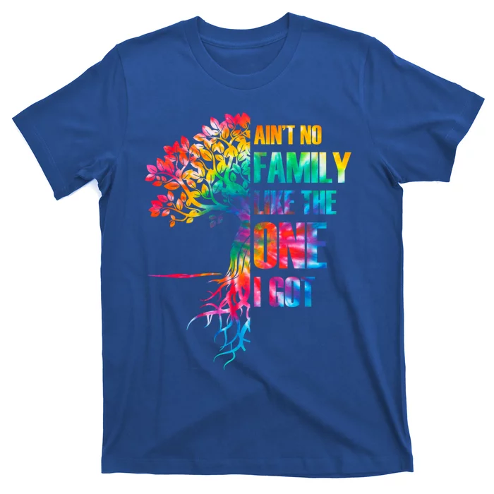 Tie Dye Aint No Family Like The One I Got Family Reunion Gift T-Shirt