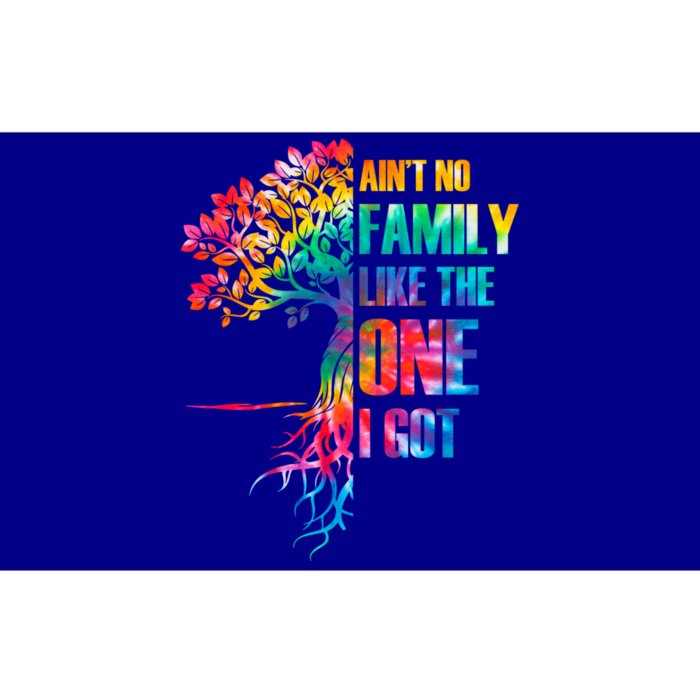 Tie Dye Aint No Family Like The One I Got Family Reunion Gift Bumper Sticker