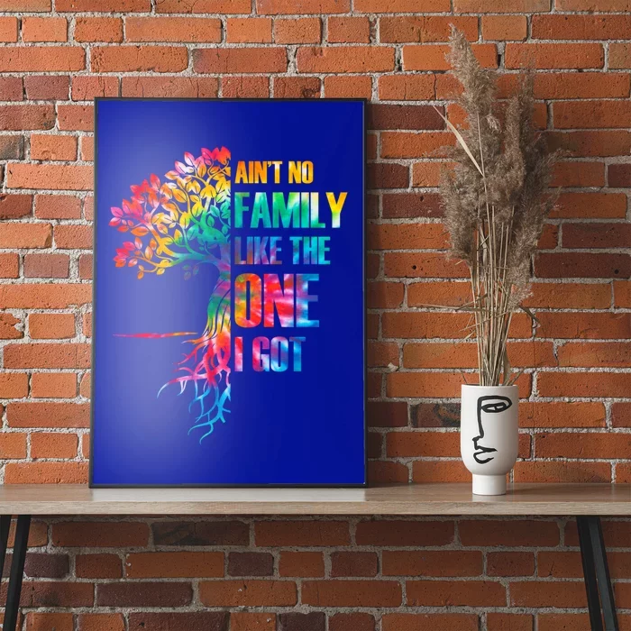 Tie Dye Aint No Family Like The One I Got Family Reunion Gift Poster