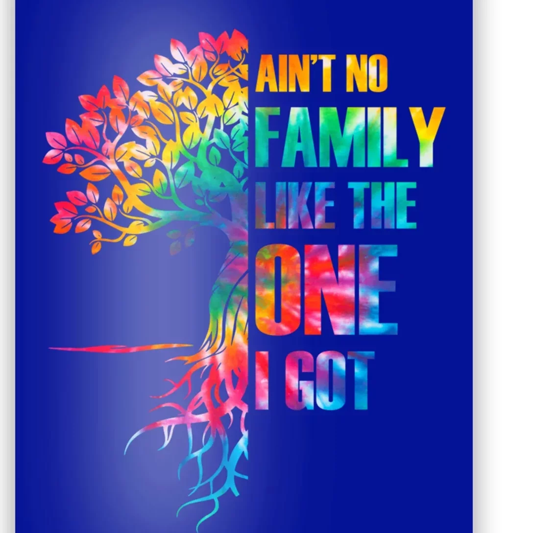 Tie Dye Aint No Family Like The One I Got Family Reunion Gift Poster