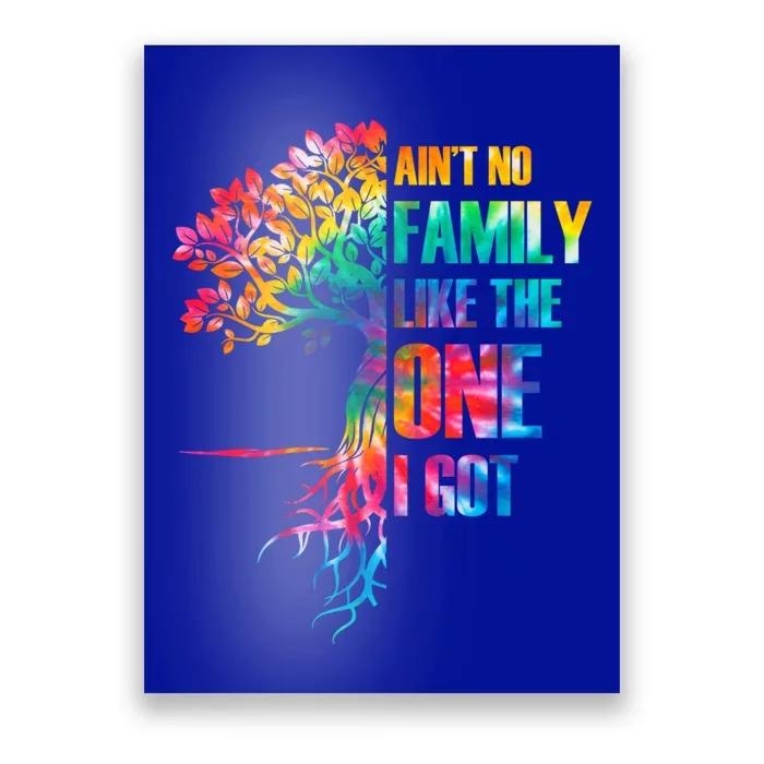 Tie Dye Aint No Family Like The One I Got Family Reunion Gift Poster