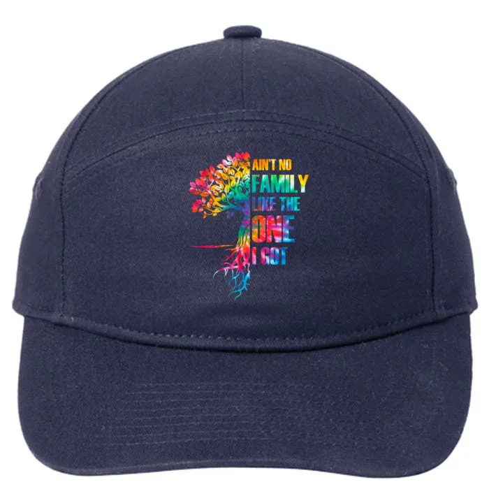 Tie Dye Aint No Family Like The One I Got Family Reunion Gift 7-Panel Snapback Hat